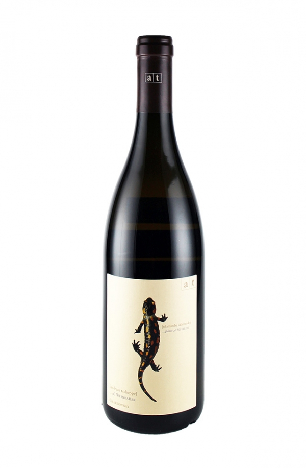 サラマンダー(トカゲ)2016