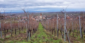 ドメーヌ ゲシクト