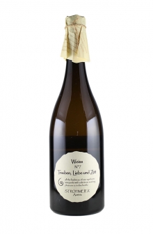 ヴァイス N12　2021