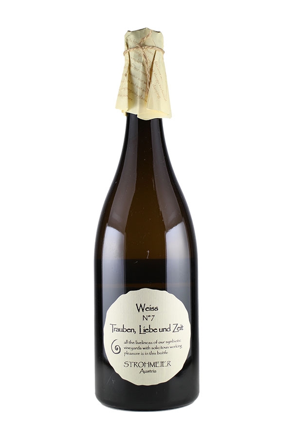 ヴァイス N12　2021