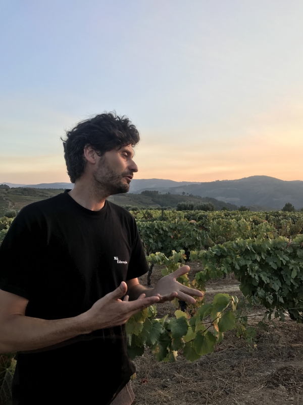 フォリアス・デ・バコ