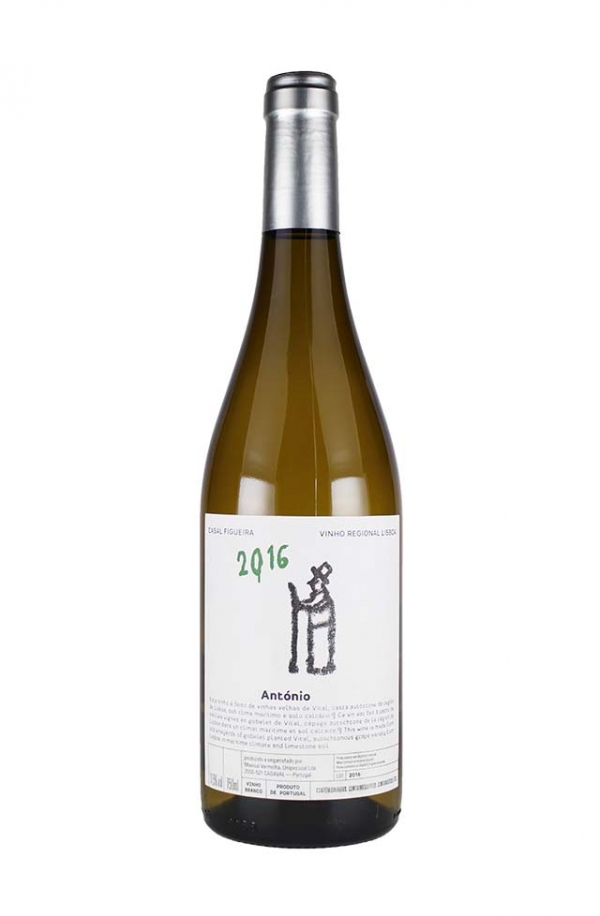 アントニオ 2016