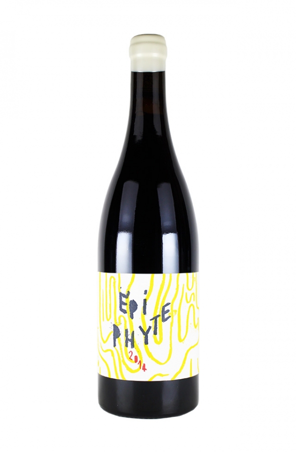 エピフイット 2014