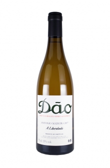 ダオン　ア・リベルダデ　2017