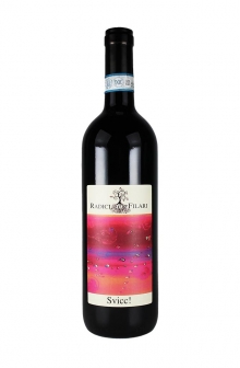 スヴィッツ 2019