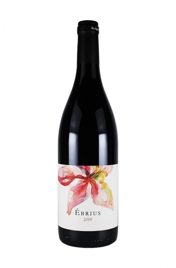 エブリウス ロッソ IGT 2019