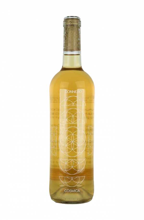 コネクシオ・コスミカ 2021