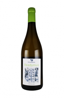 レディマス　2020