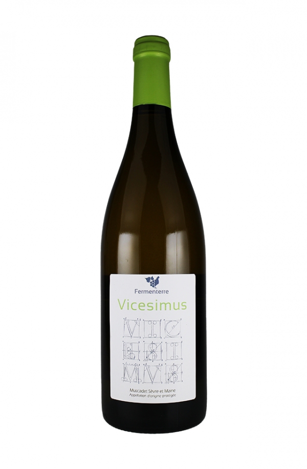 ヴィチェシーモス 2020