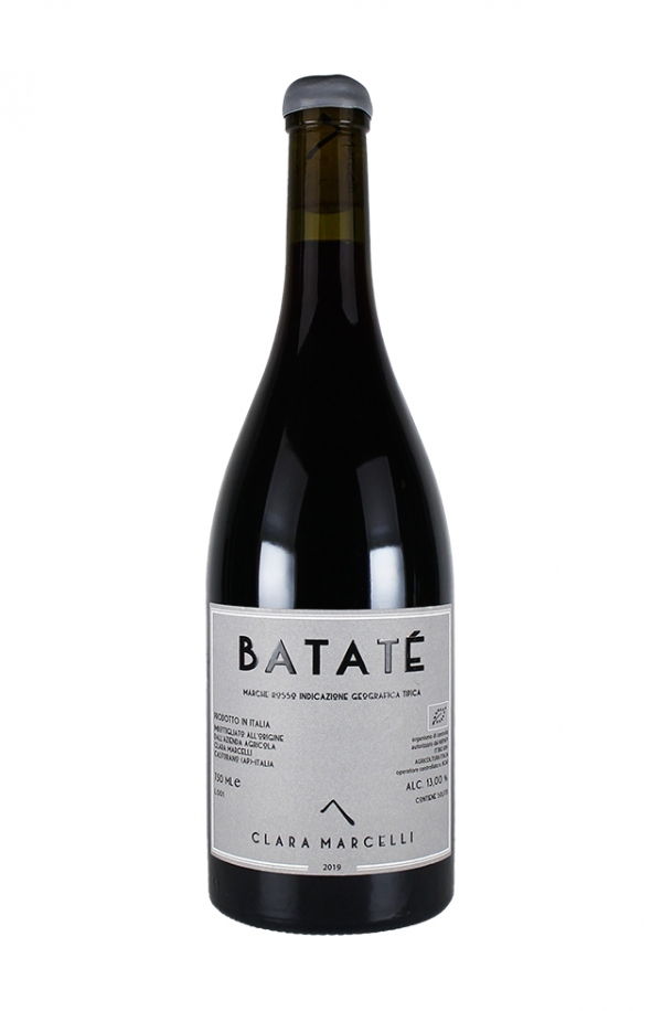 バタテ マルケ・ロッソ 2019