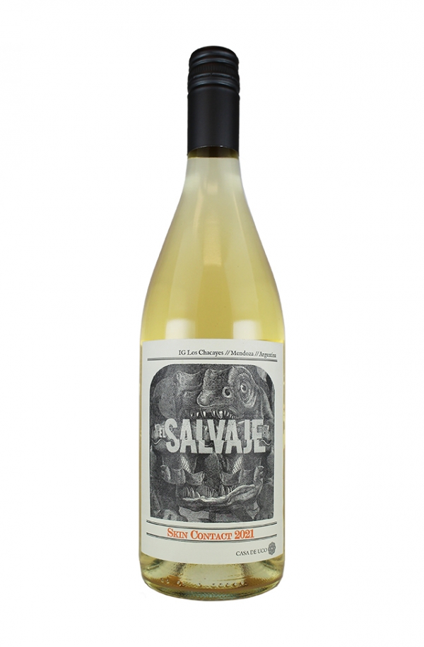 サルヴァヘ スキンコンタクト 2021