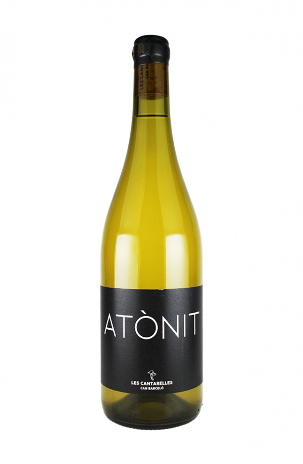 アトニット　2021