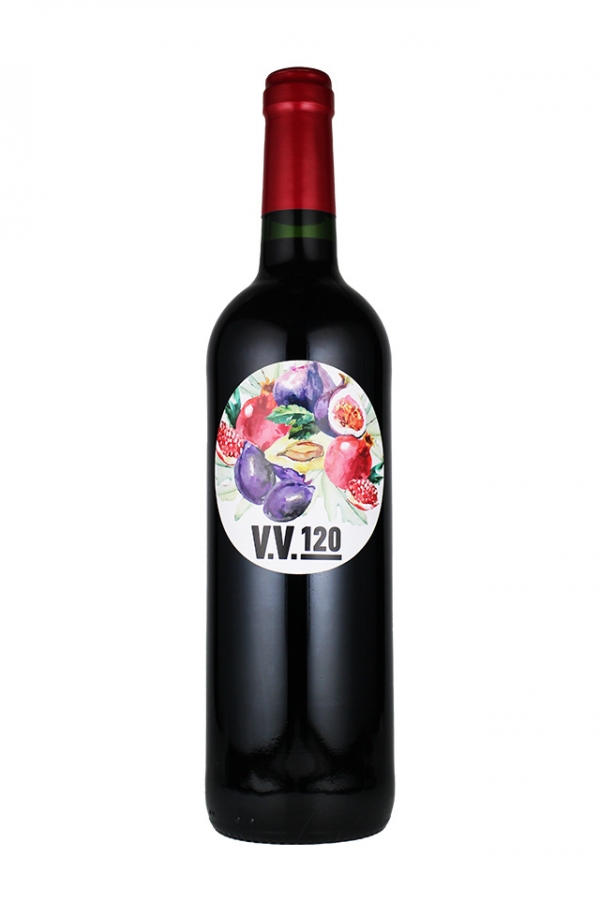 V.V.120 2022
