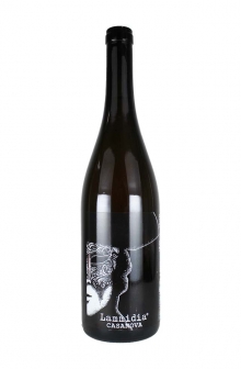 カサノバ・ビアンコ　2020