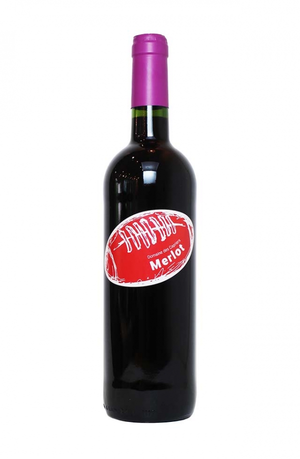 バロン・ド・ラグビー メルロ