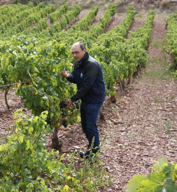 ボデガス・アラゴネサス