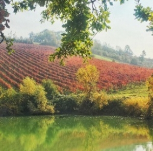 ソット・イル・ノーチェ