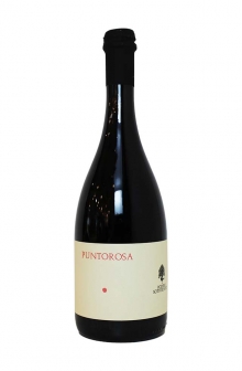 プントローザ　2023