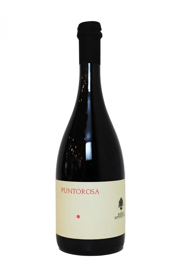 プントローザ 2023