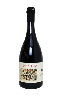 カッタブレガ　2022