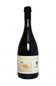 ヴァルティベリア　2023