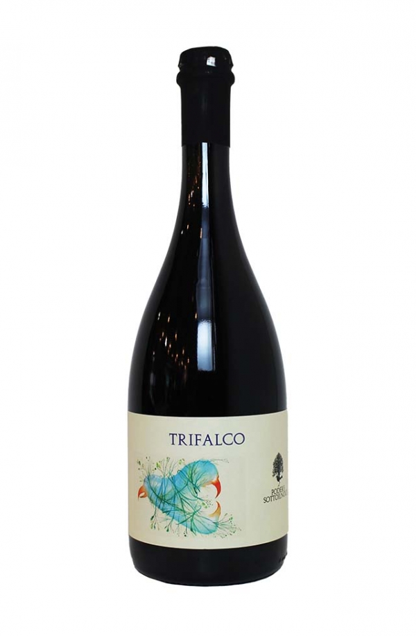 トリファルコ　2023