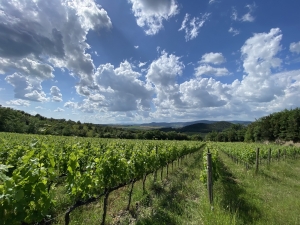 ポッジョ・マンドルロ