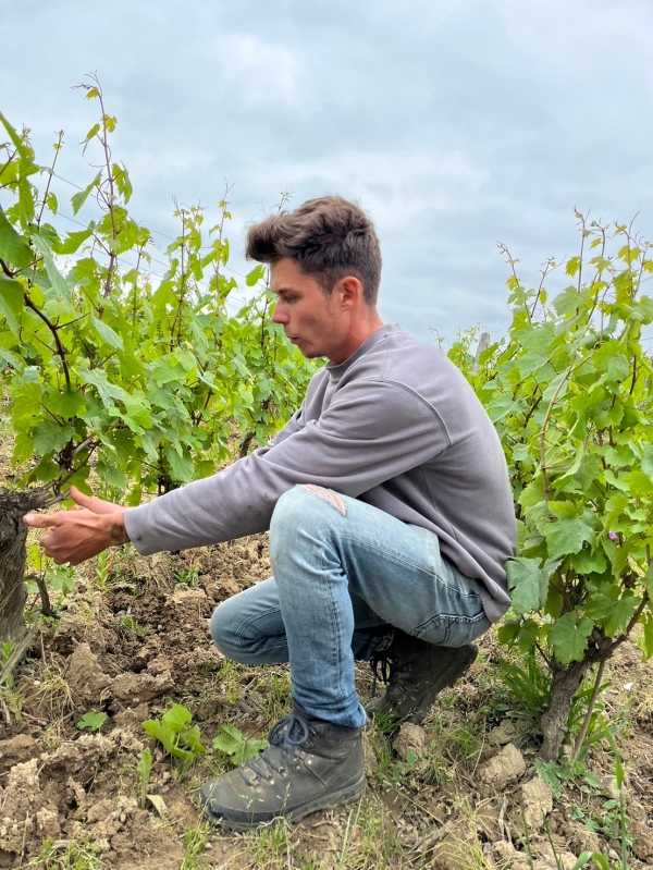 ドメーヌ・マルセル・クチュリエ