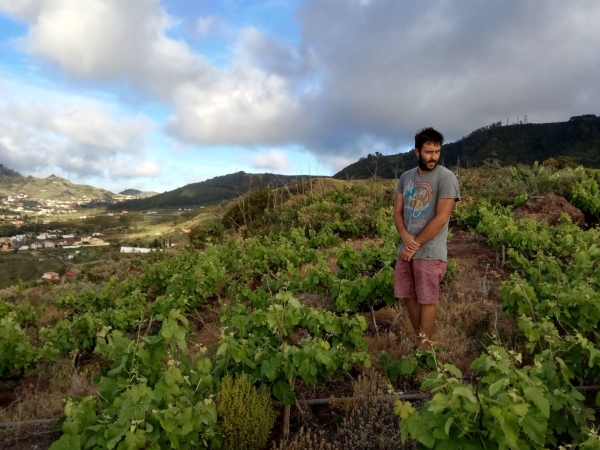 ラ・バルドーナ