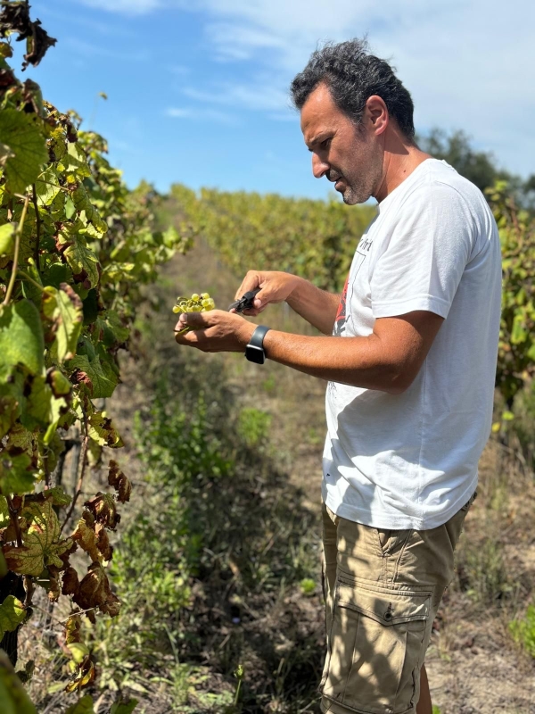 ロドリゴ・マーティン