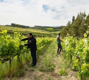 ロドリゴ・マーティン