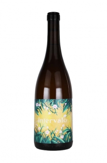 インテルヴァロ　ブランコ2023