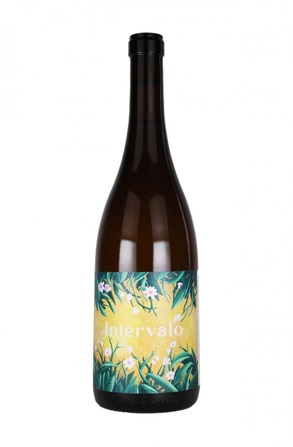 インテルヴァロ　ブランコ2023