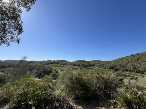 マシア・デ・ラ・ロクア