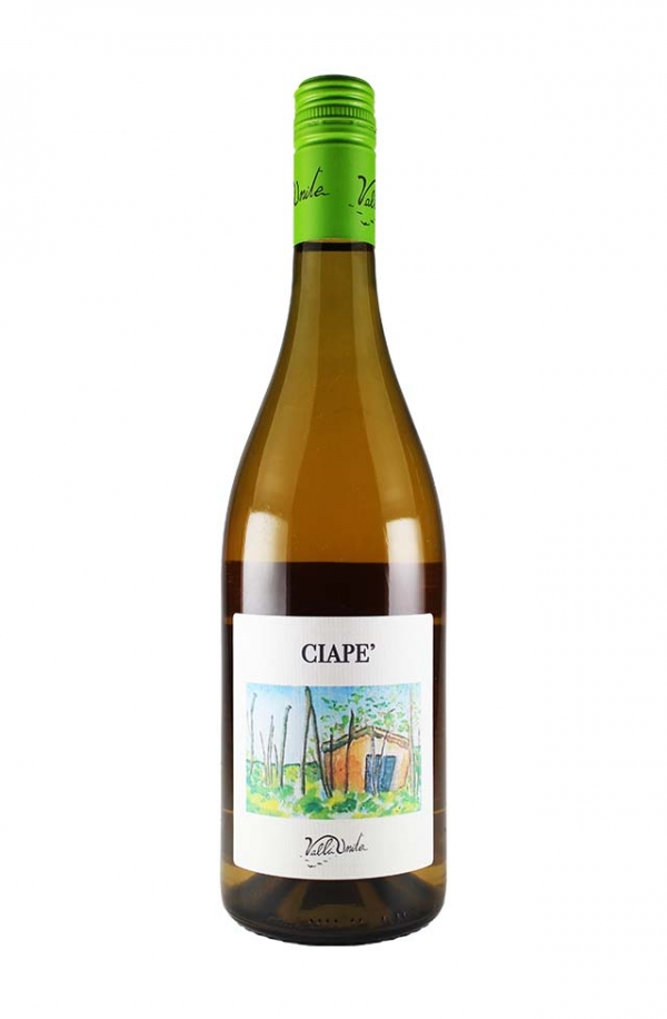 チアペ DOC コルテーゼ 2023