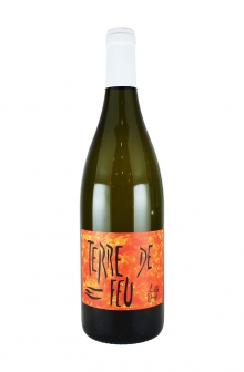 テール・ド・フー・ブラン　2024