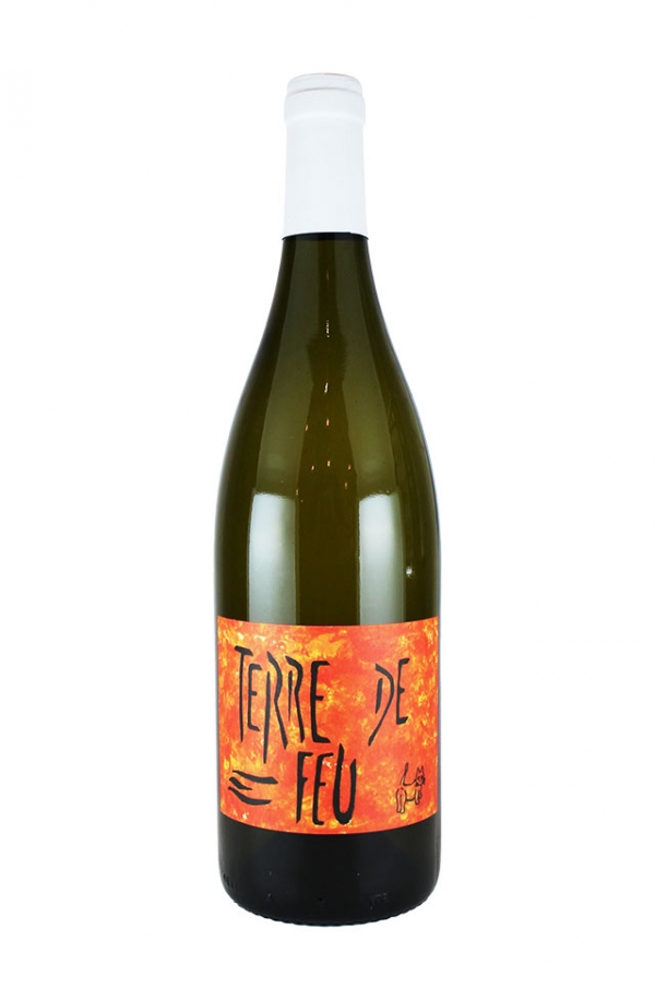 テール・ド・フー・ブラン 2024