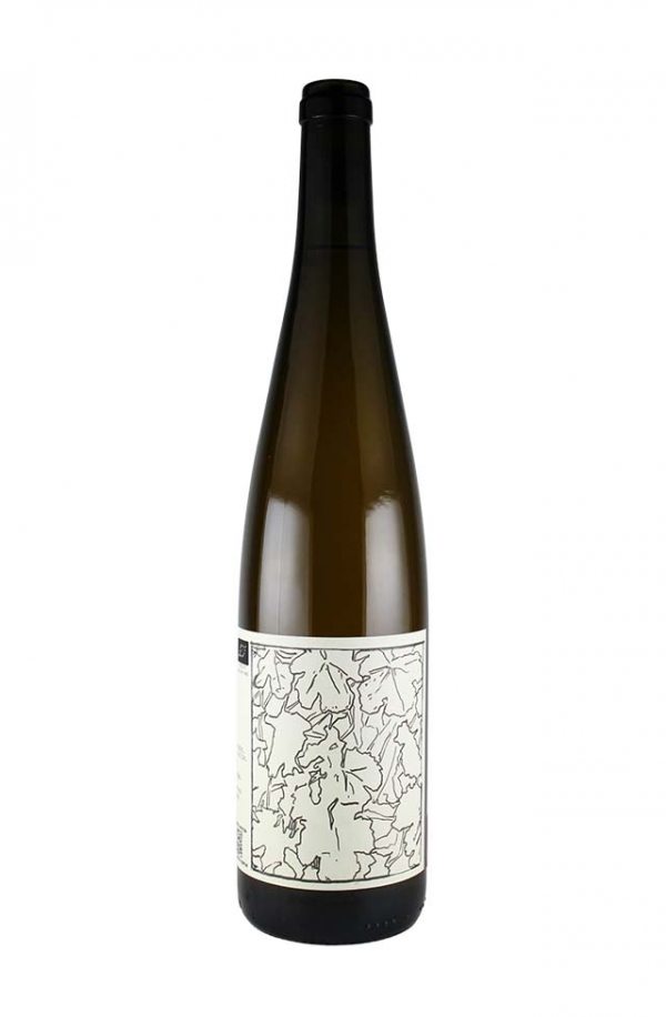 リースリング ライト・マセラシオン 2024