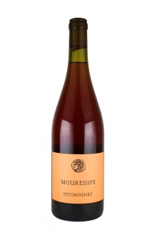 ピッチョネ　2024