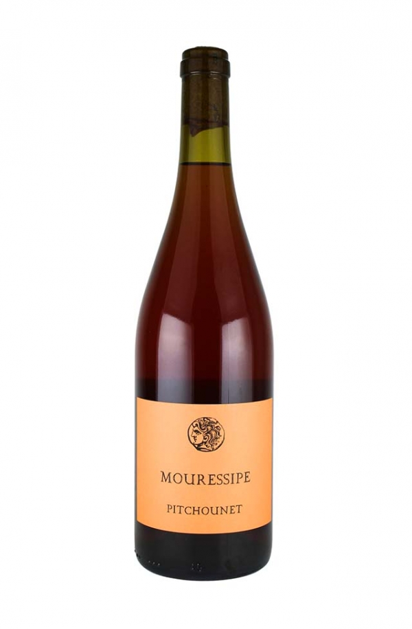 ピッチョネ　2024