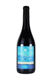 エル・テウ・マル・レ・メベス・ムンタニエス　2024