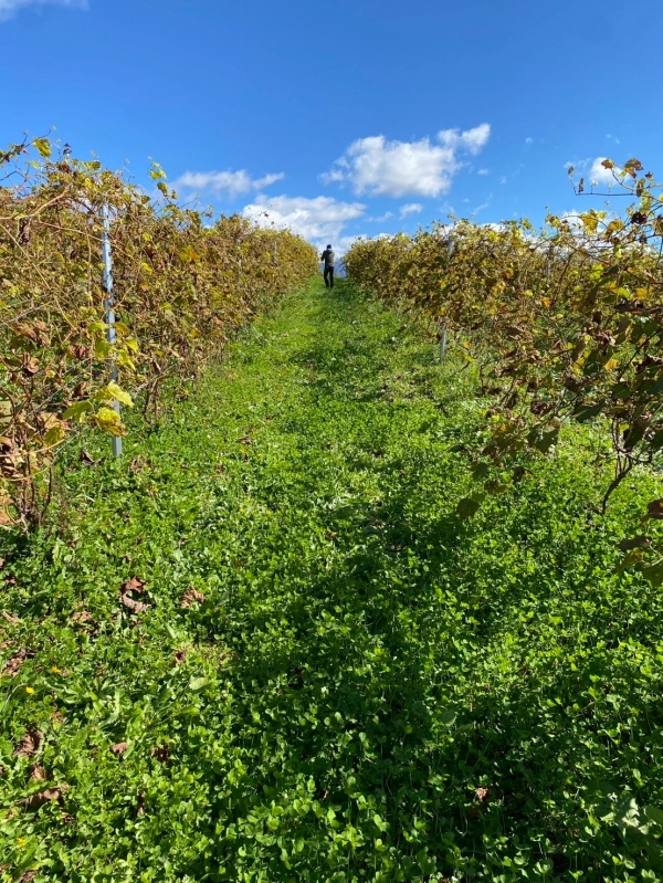 カムイ・メトッ・ヌプリ