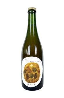 トイ・ホプニ　2024